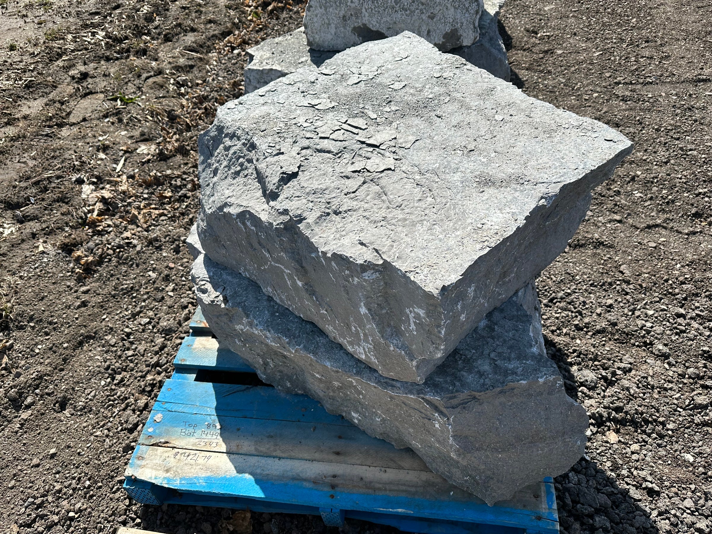 Armor Stone - 12 Inch Height Kawartha Grey Armor Stone | Joe